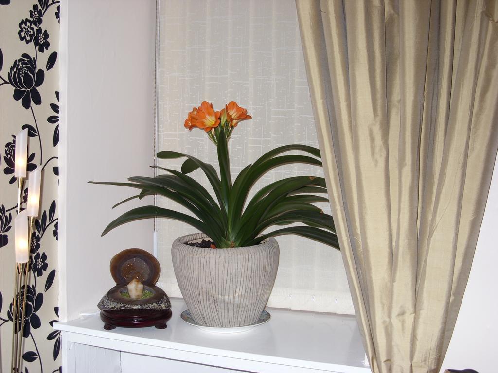 Alba Guest House Aberdeen Ngoại thất bức ảnh